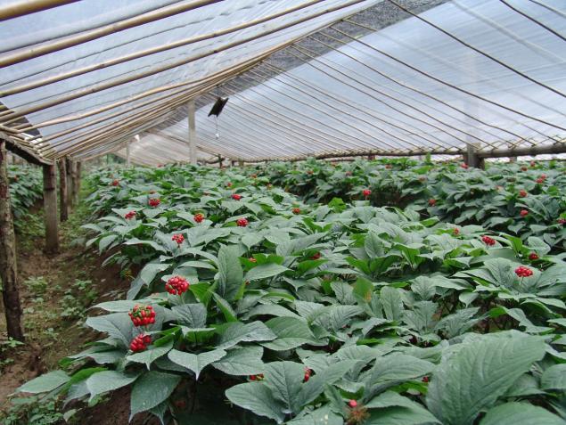 微信图片_20220824115537