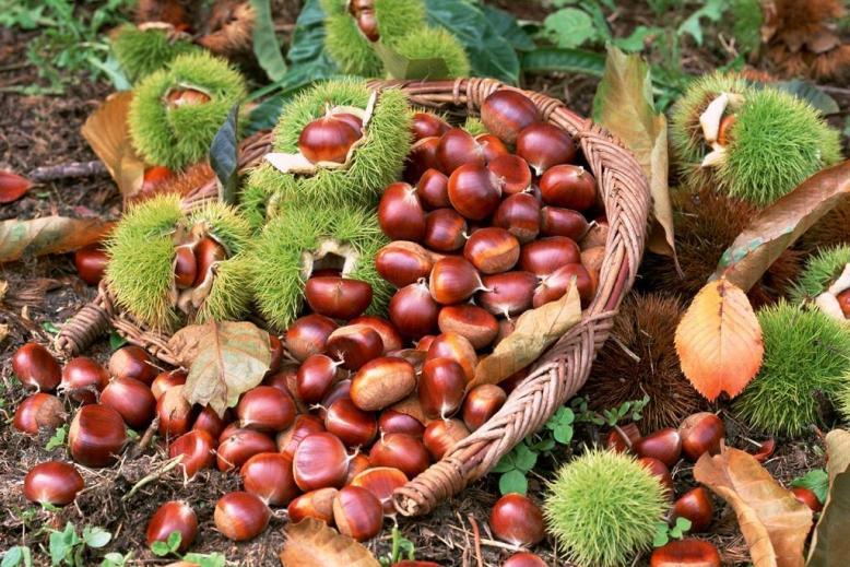 微信图片_20220824115735