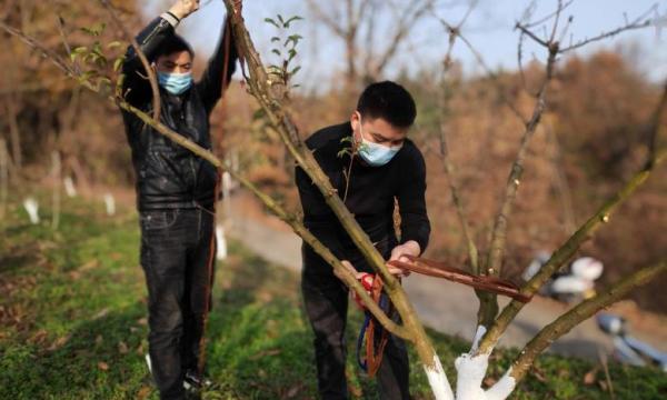 微信图片_20221214085537