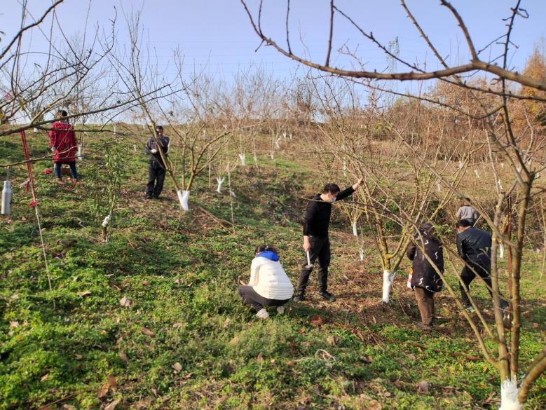 微信图片_20221214085547