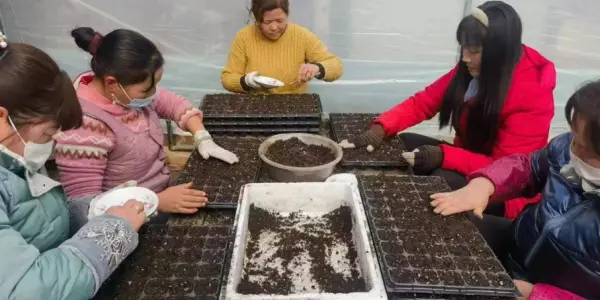 f7cfb4a475b7ecaa91962e5469083a7