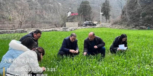 C:\Users\ADMINI~1\AppData\Local\Temp\WeChat Files\bb4f7451e073cece8860763666c772c.jpg