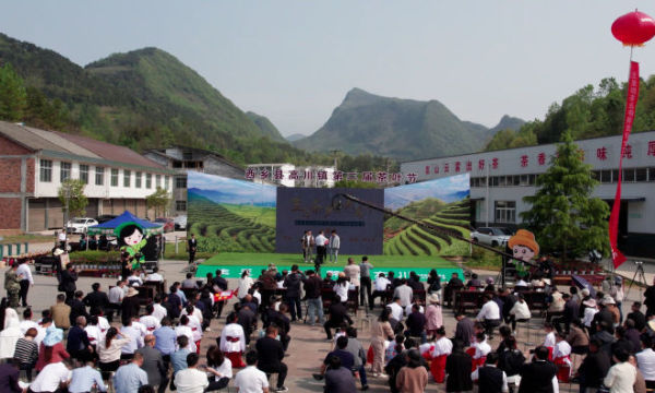 简篇-农行西乡县支行助力西乡县高川镇第二届“生态茶乡•醉美高川”茶叶节活动圆满成功