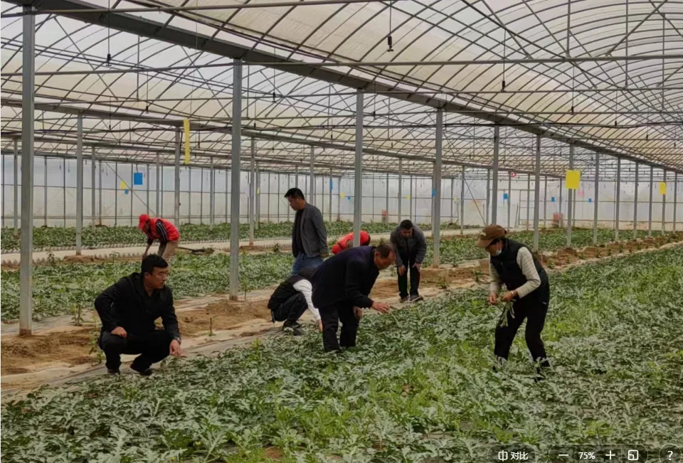 微信图片_20230425134122