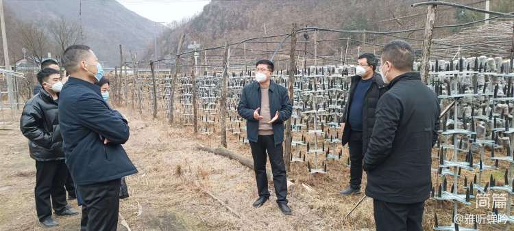 简篇-镇安县多措并举高效推进创业担保贷款