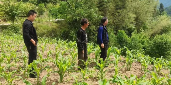 dc8a08b3c82718bc19d929551c63368