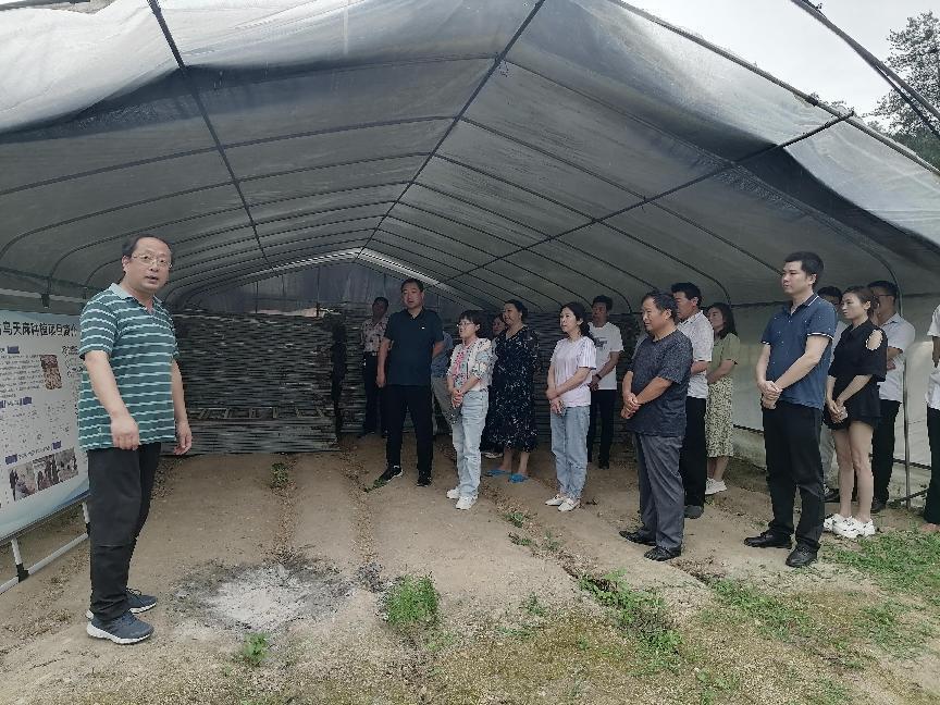 eb27e0c115a47e96185fcb486c2f29b