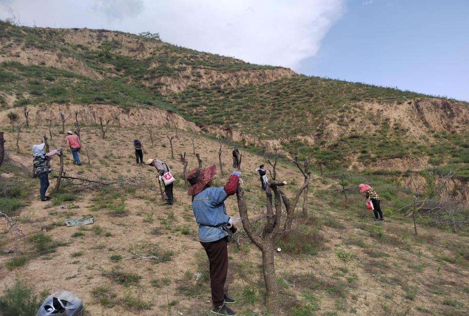 872df7d61ed19248ac82bde4b92cf98