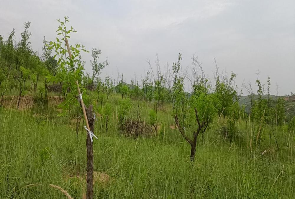 8d770002105a3b9ef3d0ed6cbe4aeac