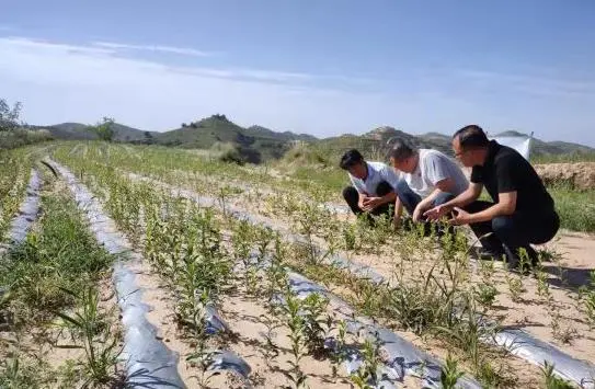 C:\Users\ADMINI~1\AppData\Local\Temp\WeChat Files\d125134210d89b34b07c0676935390c.jpg