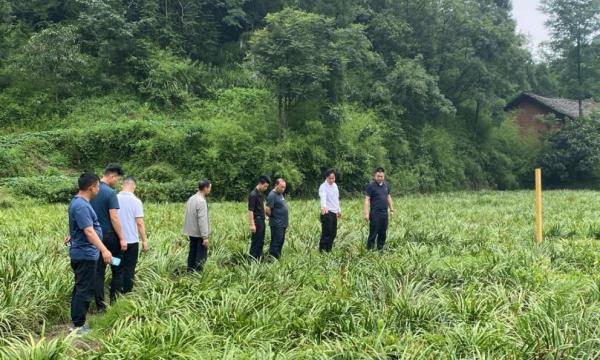 C:\Users\ADMINI~1\AppData\Local\Temp\WeChat Files\c824125d77b46790d15374b77a8d057.jpg