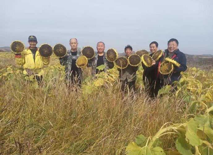 C:\Users\ADMINI~1\AppData\Local\Temp\WeChat Files\356188f8b7a1fd35c966d686d37b13c.jpg