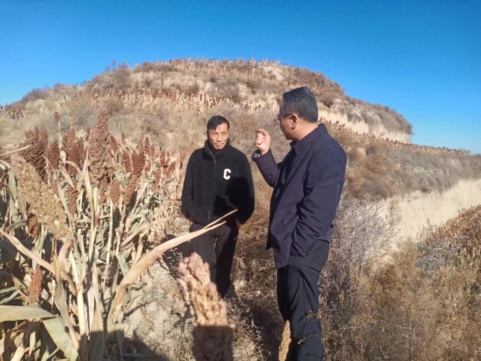 C:\Users\ADMINI~1\AppData\Local\Temp\WeChat Files\ccf8f7f07ee1d305787fd41f58b166c.jpg