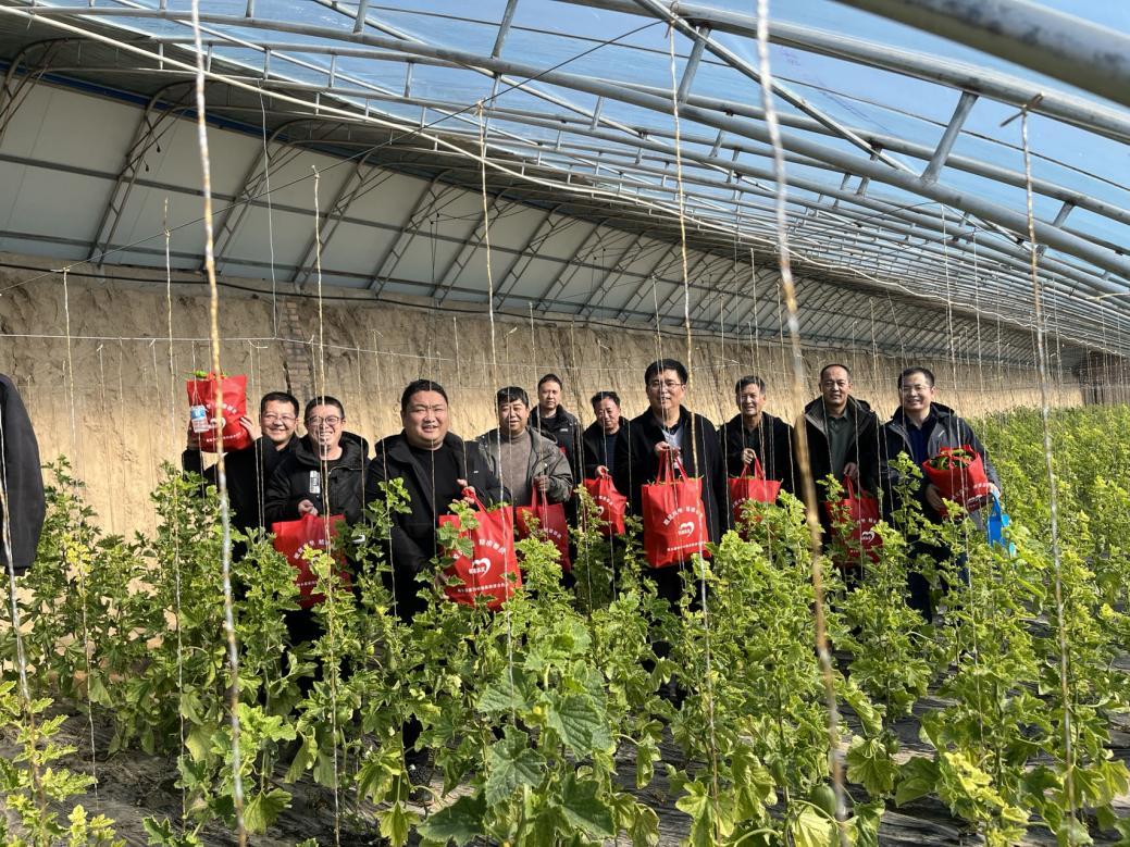 c3d32d33a595174a29dce9b3f933c12