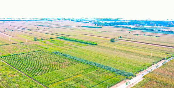 C:\Users\ADMINI~1\AppData\Local\Temp\WeChat Files\c9fd6987253641b922fbdd3cb72e00c.png