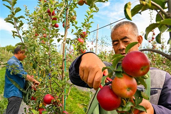 C:\Users\ADMINI~1\AppData\Local\Temp\WeChat Files\867b66f9bf2711dbdd9c0caceefac1e.png