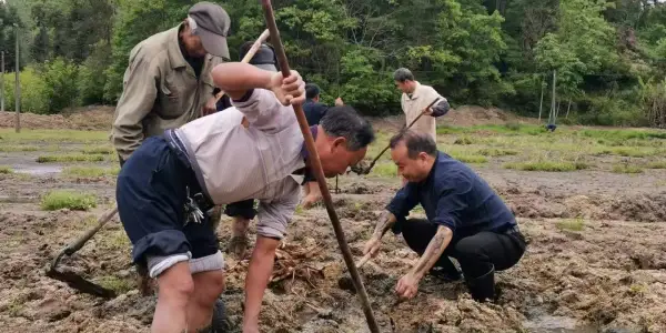 f8ad3c52d1b1760e6558ae0d6efdf8a