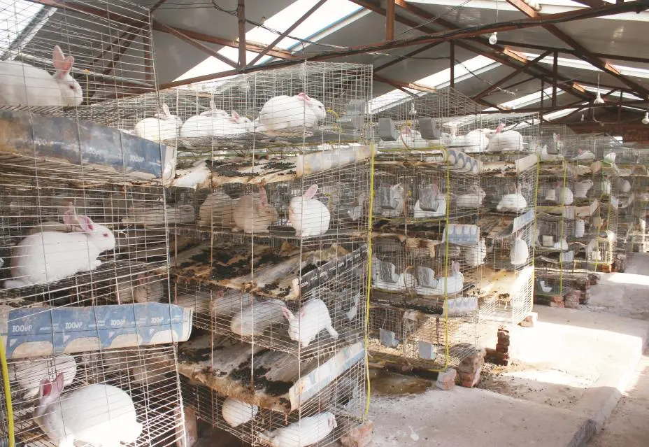 C:\Users\ADMINI~1\AppData\Local\Temp\WeChat Files\a15a40cea6902b370fe90a498509bcb.jpg