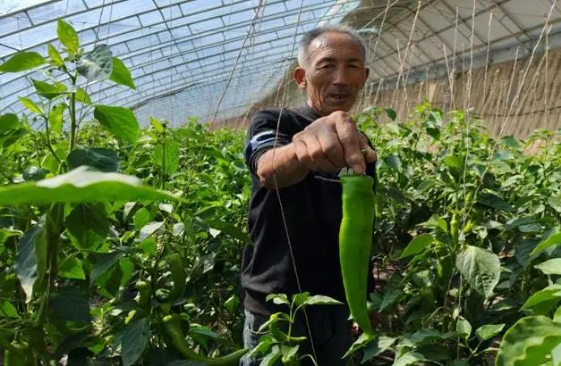 C:\Users\ADMINI~1\AppData\Local\Temp\WeChat Files\f8c3dddd700b5879d295c98f57607ab.jpg