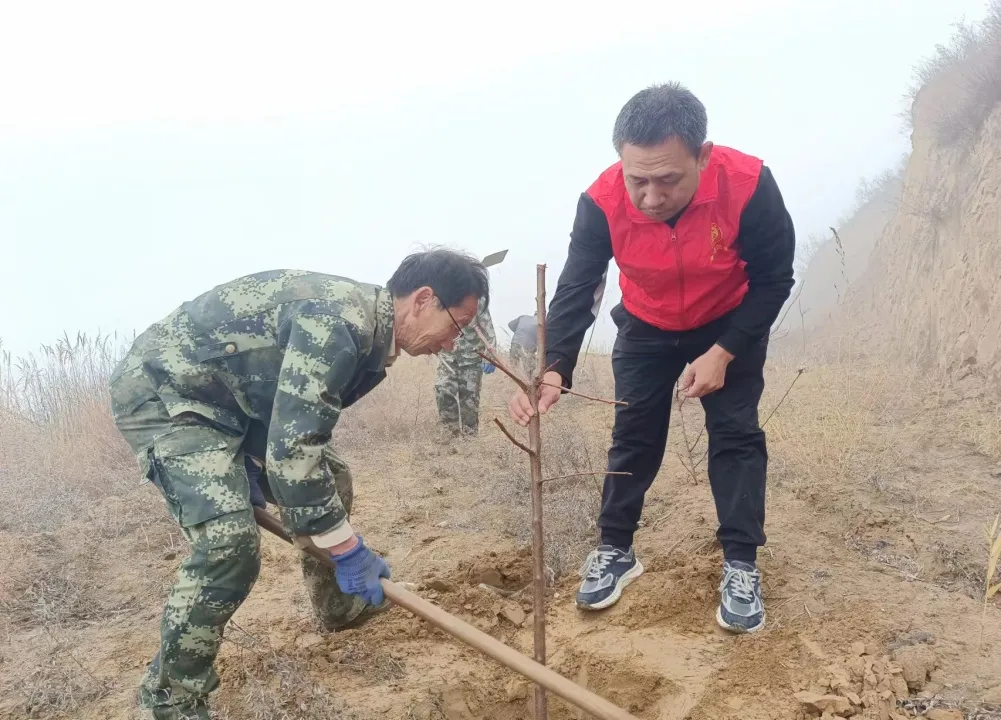 82e8a02f62331382c3b70897bcc76ce