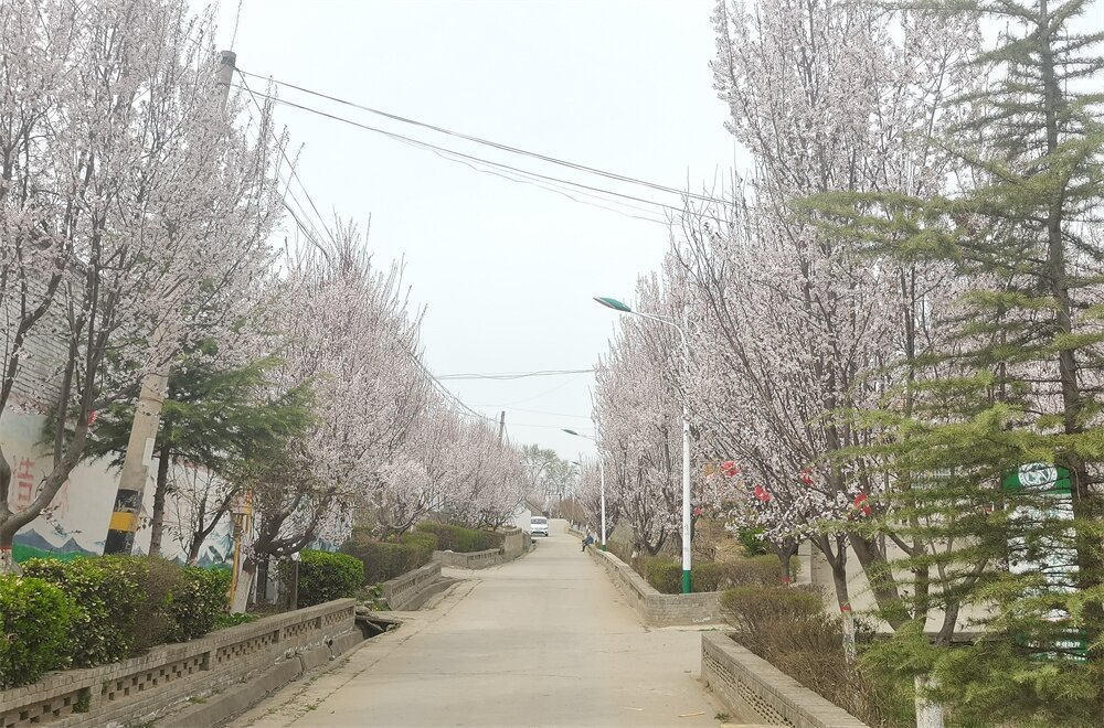 C:\Users\ADMINI~1\AppData\Local\Temp\WeChat Files\853c411cf1996c31a7139942db53cd2.jpg