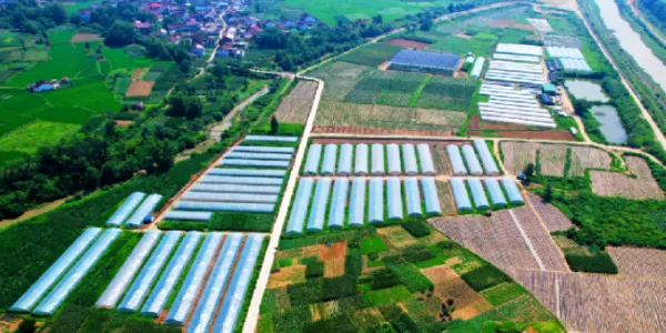 C:\Users\ADMINI~1\AppData\Local\Temp\WeChat Files\84bad3289c43d0a0ae5dbe8551c0993.png