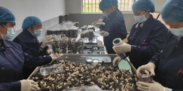 C:\Users\ADMINI~1\AppData\Local\Temp\WeChat Files\5fefdd1bb650f69938a04296cb4fa2b.jpg