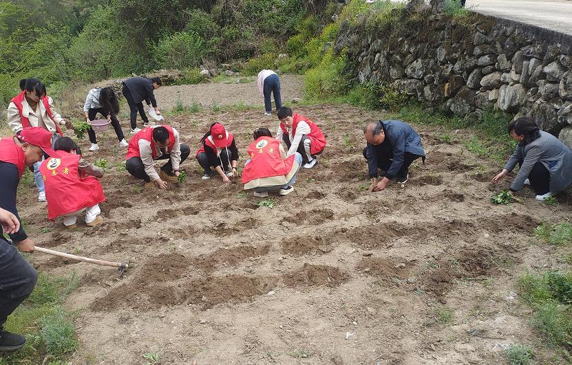 C:\Users\ADMINI~1\AppData\Local\Temp\WeChat Files\af8379a81850814d90ff2fcabe5fd85.jpg