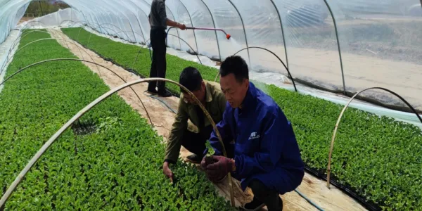 C:\Users\ADMINI~1\AppData\Local\Temp\WeChat Files\dcd94042bfeb752409912bc06d20be3.jpg