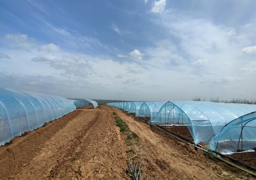 C:\Users\ADMINI~1\AppData\Local\Temp\WeChat Files\a411efe353281b2cd1bf624c5e4430d.jpg