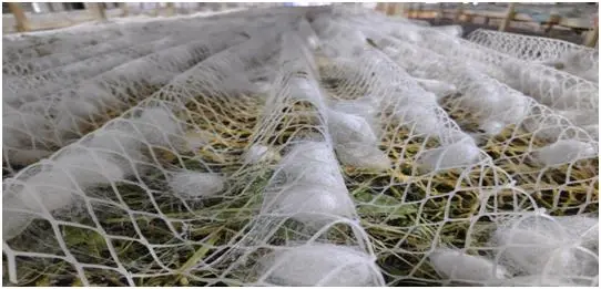 C:\Users\ADMINI~1\AppData\Local\Temp\WeChat Files\e15b60968c6bf8073be3ed3508d4815.jpg