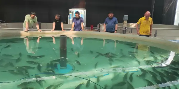 4ee4fcf3d64fe90175b67c22e4cc96d