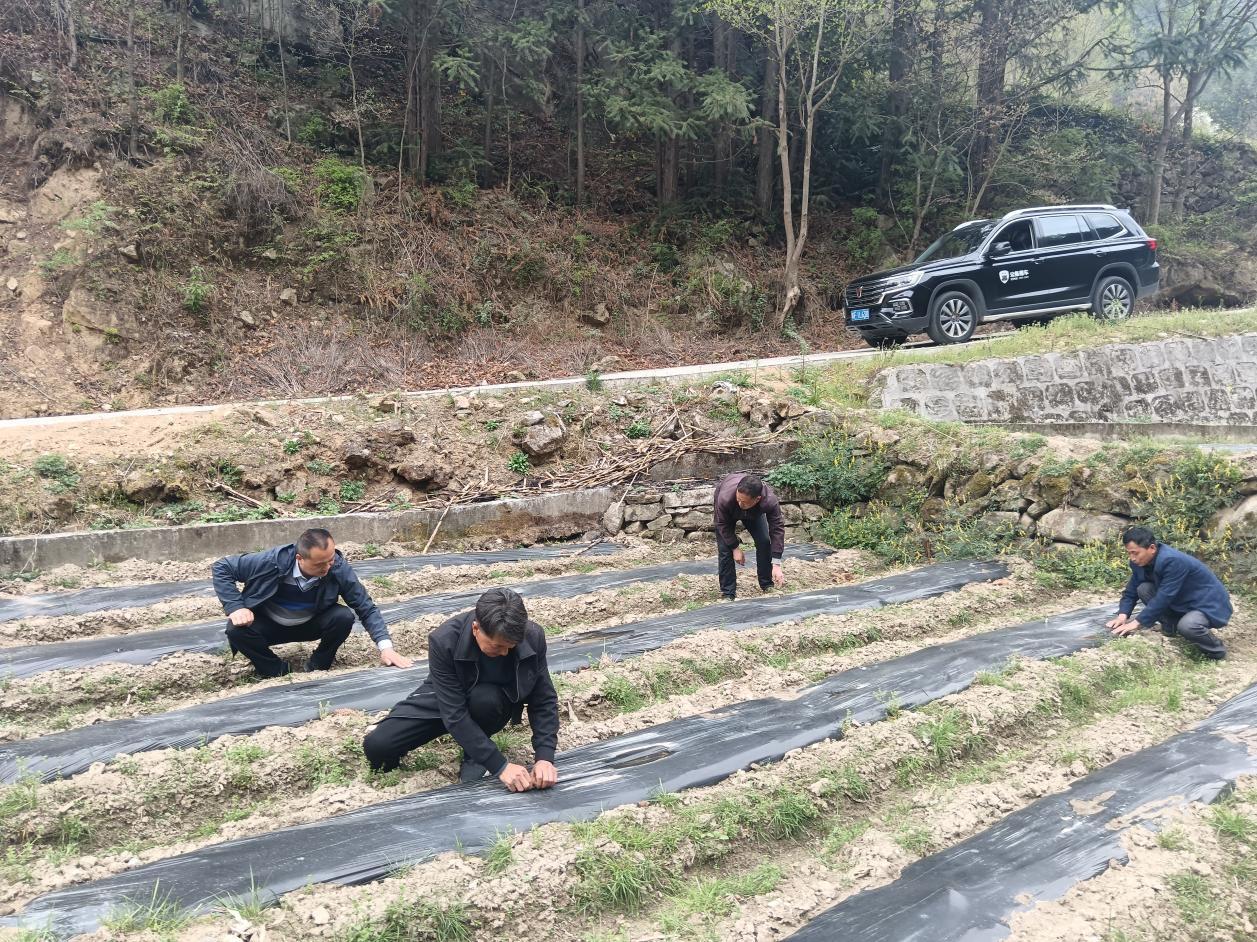 d802d56578091042beec6652afa50b2