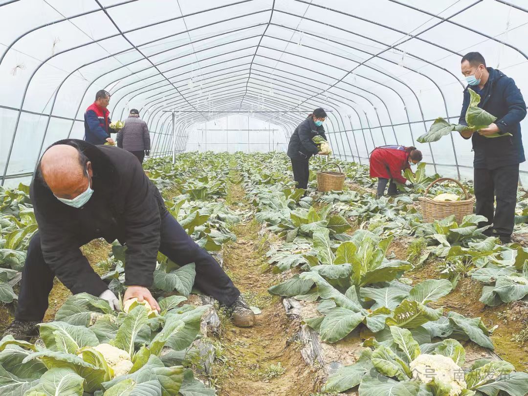 C:\Users\ADMINI~1\AppData\Local\Temp\WeChat Files\6ec8e7a8787d490907b1dcb46f761ef.jpg