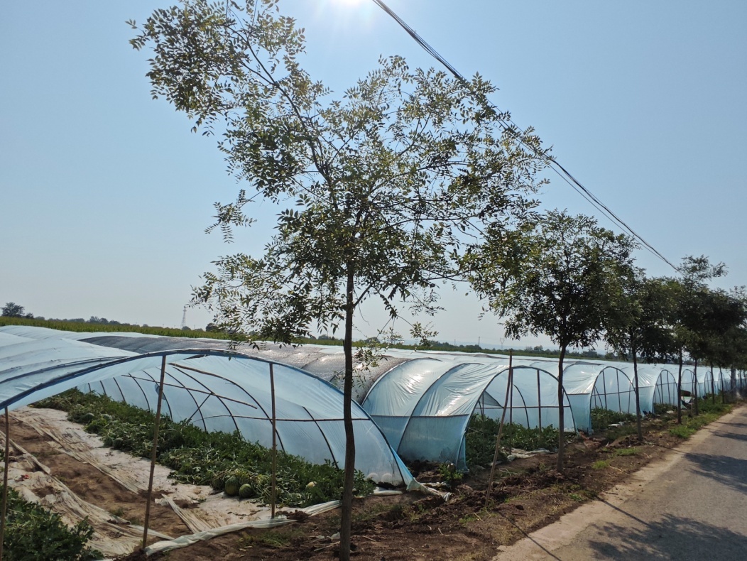 C:\Users\ADMINI~1\AppData\Local\Temp\WeChat Files\41797485467b916e75b6069dcdd6d3e.jpg