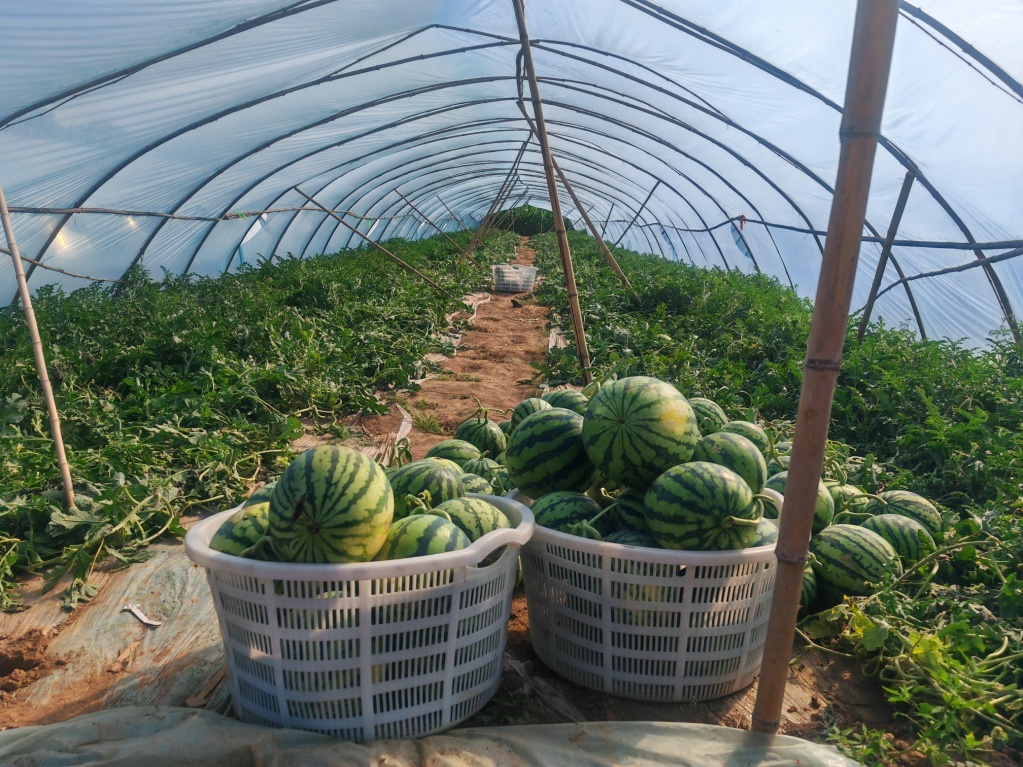 C:\Users\ADMINI~1\AppData\Local\Temp\WeChat Files\fa7f2ad6e5f953f012102cecd2c4a6f.jpg