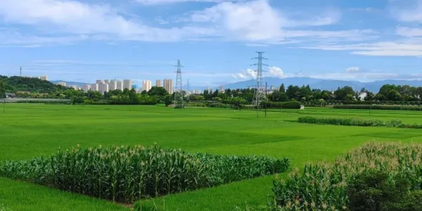 C:\Users\ADMINI~1\AppData\Local\Temp\WeChat Files\c0e6218a3f36fdac962cf8b590473a3.jpg