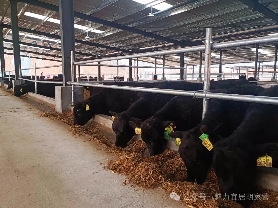 C:\Users\ADMINI~1\AppData\Local\Temp\WeChat Files\8d78d32f4d73fc7293c8fe9d6a8aec7.jpg