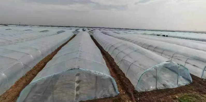 C:\Users\ADMINI~1\AppData\Local\Temp\WeChat Files\7b9b15a3e56c7ce442cbc9841ede83a.png