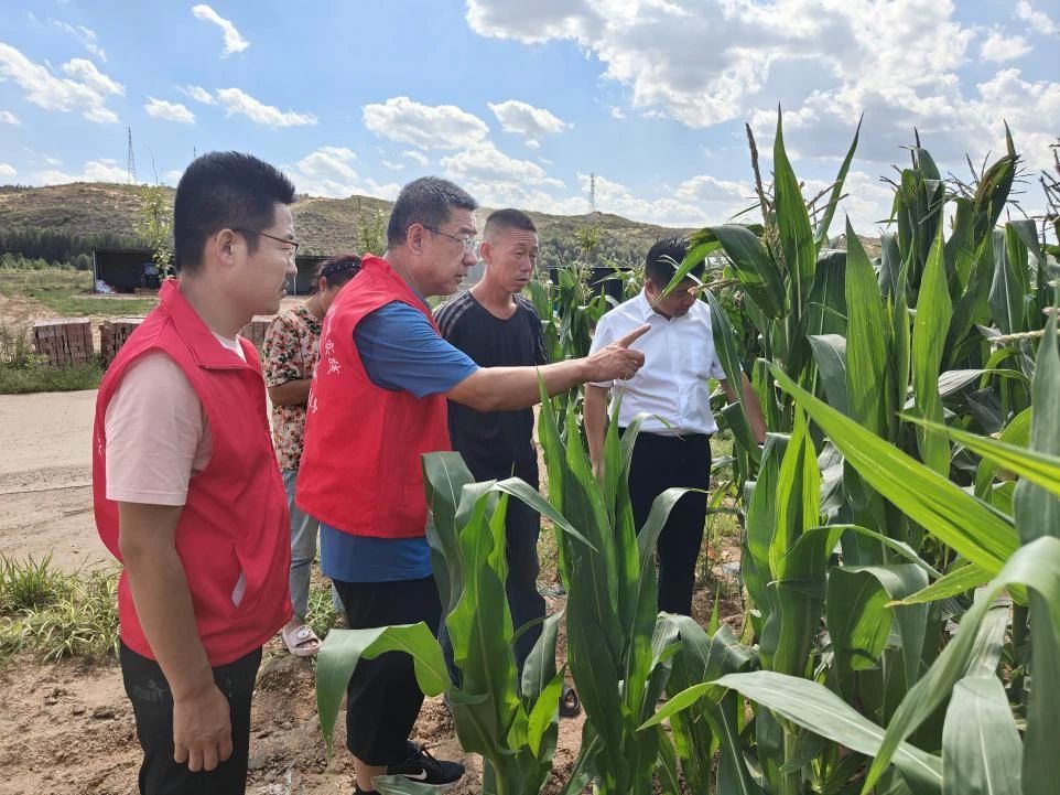 C:\Users\ADMINI~1\AppData\Local\Temp\WeChat Files\d95919a8680114de52acc6348aad648.jpg