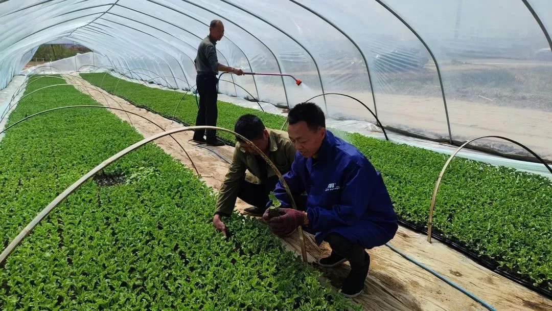 C:\Users\ADMINI~1\AppData\Local\Temp\WeChat Files\4822c2daebc03322784f701fb1fb8bc.jpg