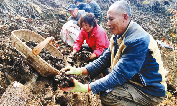 C:\Users\ADMINI~1\AppData\Local\Temp\WeChat Files\3b1be4d812b4abdfdeca5ebd26fb89b.png