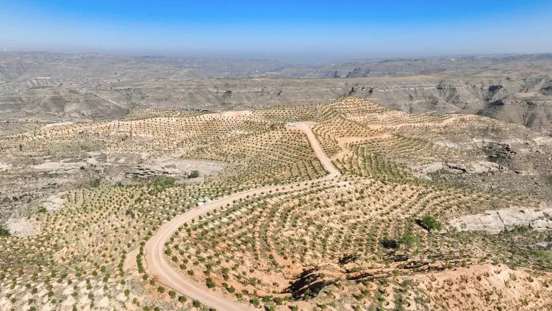 C:\Users\ADMINI~1\AppData\Local\Temp\WeChat Files\16826381d2fef448319971dfaac65f1.jpg