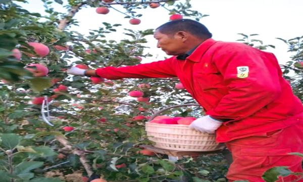 5b9d52c378c32cbb65764f05561ced7