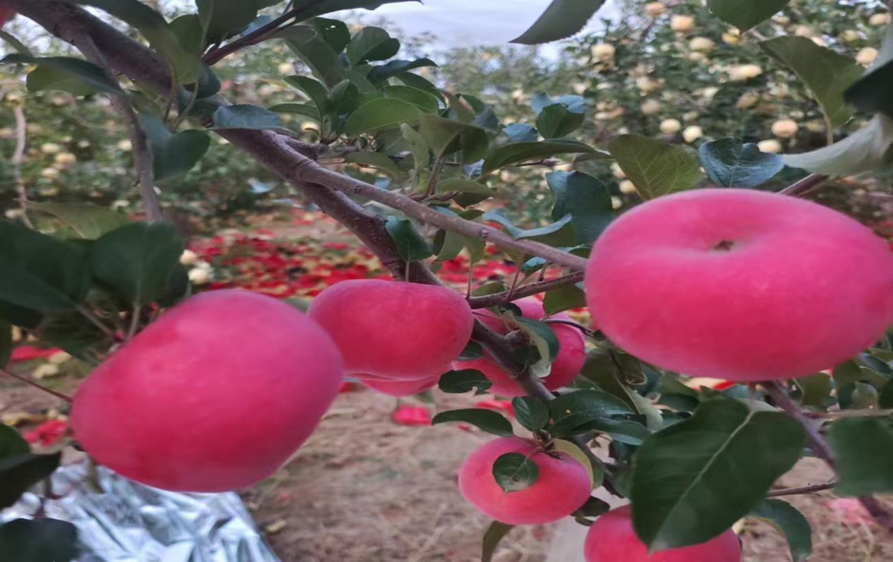 686b65c47a69ea88271214d2e7cbf3d