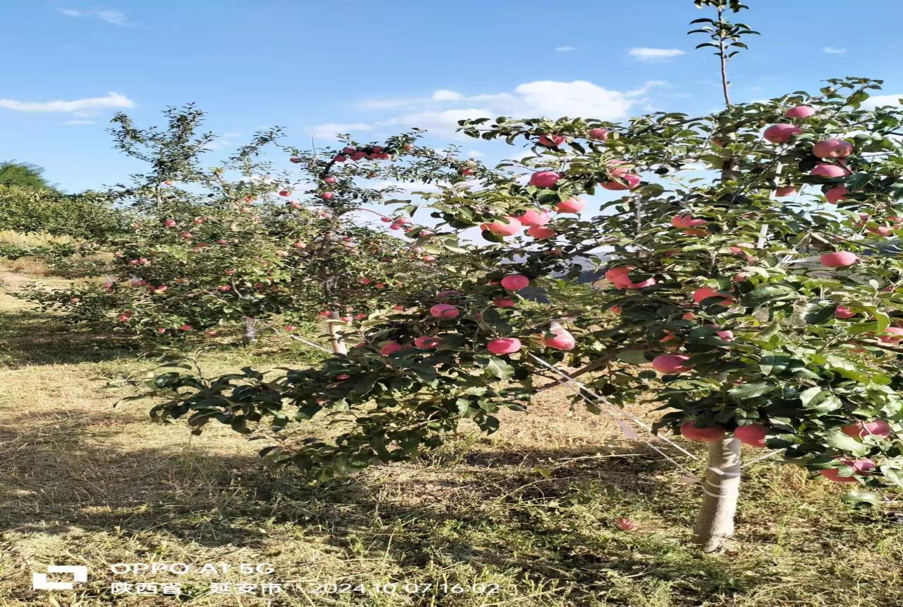 d3d33f0bebd474b24568e85db4c5014