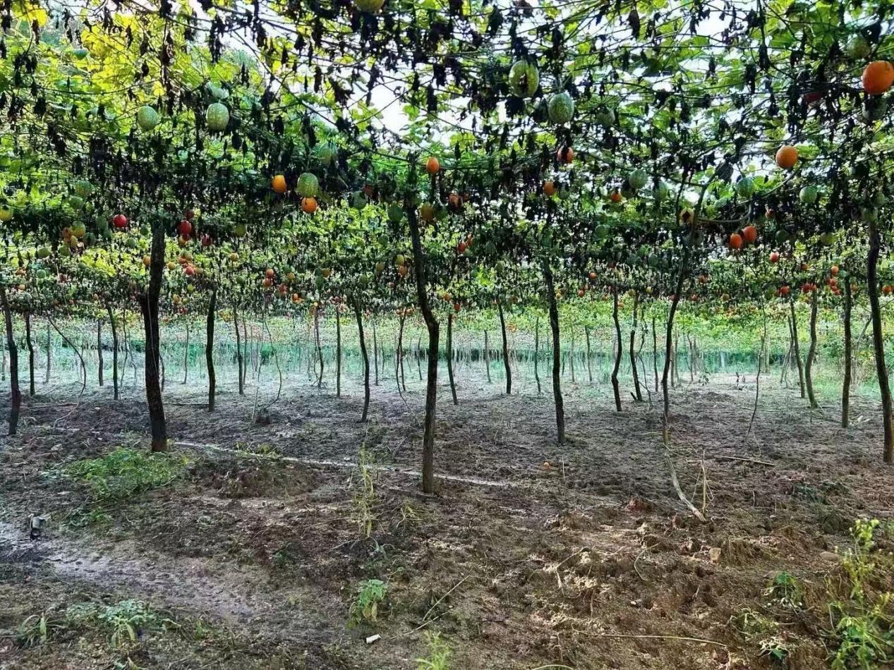 b033646aa9e262554a305fd146c1114