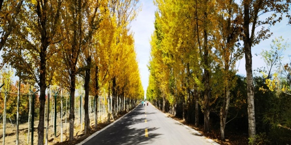 C:\Users\ADMINI~1\AppData\Local\Temp\WeChat Files\6a494ecf6af6e9674176628dce89cb4.jpg