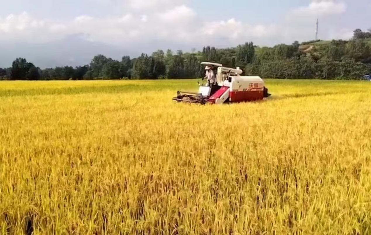 微信图片_20241029141454