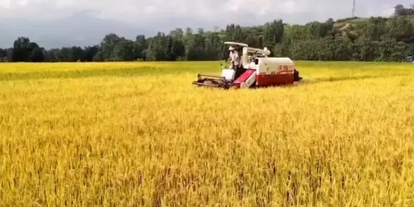 微信图片_20241029141454